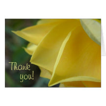 Soft Yellow Rose Thank You Note Card
