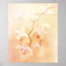 Softly Faded Orchids Poster
