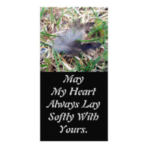 Softly Lay Photo Card