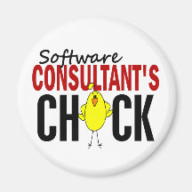 Software Consultant's Chick Magnet