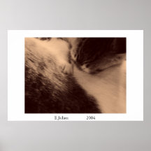 soins de chaton posters