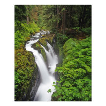 Sol Duc Falls in Olympic National Park in 2 Photographic Print