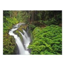 Sol Duc Falls in Olympic National Park in Photographic Print