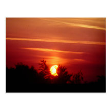 Solar Eclipse Post Card