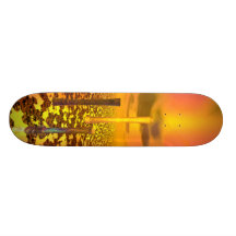 Solar Fusion – cricketdiane skateboard deck design
