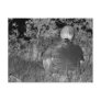 Solarized negative photograph of solo figure postcards