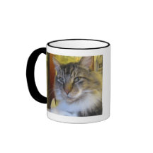"Soldat de la cavalerie tasse du chat"