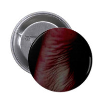 SOLES BUTTON