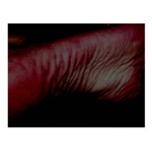 SOLES POST CARDS