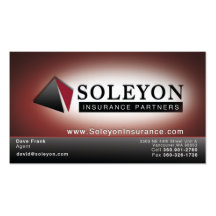 Soleyon 2 business cards