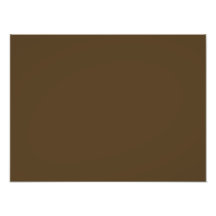 Solid Brown Background Photo Print