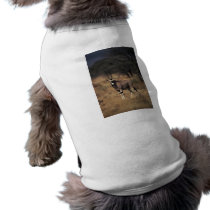 Solitary Antelope Doggie Tee