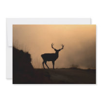 Solitary Red Stag Invitation