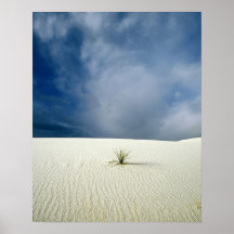 Solitary Sprout Print