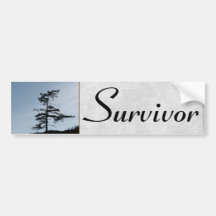 Solitary Survivor Tree Bumper Sticker