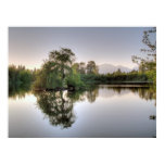 Nature Posters