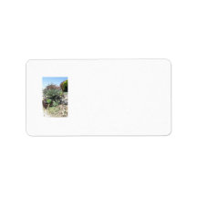 Solo Aloe Vera Castus-44 Address Label
