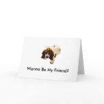 Solo Puppy_Look, Wanna Be My Friend? Greeting Card