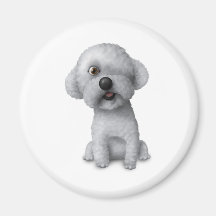 Solomon - Cartoon Magnet
