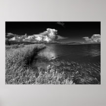 Sombre Serenity Poster