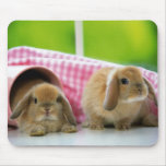 Some Bunny Loves Me mousepads