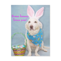 Some bunny loves you!