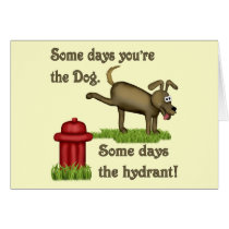 Some Days Dog