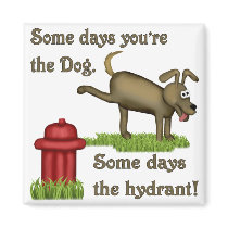 Some Days Dog