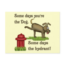 Some Days Dog