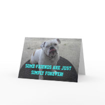 Some Friends are just Simply Forever Cards