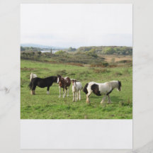 Some Horses Personalized Flyer