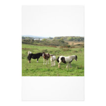 Some Horses Stationery