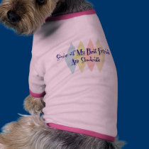 Some of My Best Friends Are Students pet clothing