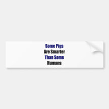 Some Pigs Are Smarter Than Some Humans Bumper Sticker