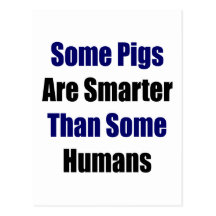 Some Pigs Are Smarter Than Some Humans Postcards