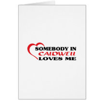 Somebody in Caldwell loves me t shirt Cards