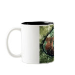Somebody's watching you Mug
