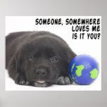 Someone, Somewhere Posters
