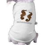 Someone Special pet clothing
