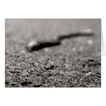 Something wicked this way comes greeting cards