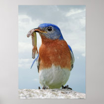 Sometimes you land a big one . . . print