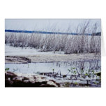 Somewhere Greeting Card
