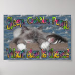 Sommeil, caresse, ronronnement ! affiche