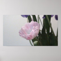 Son juste une tulipe poster