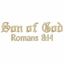Son of God, Romans 8:14 Hoodies