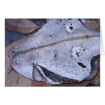 Son un serpent carte de vœux