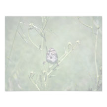 Song Sparrow Personalized Invite