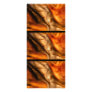 Song - TrimNSave - Use For Business Or Other ----- Personalized Rack Card