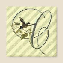 Songbird Initial C magnets