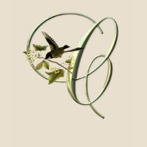 Songbird Initial C t-shirts